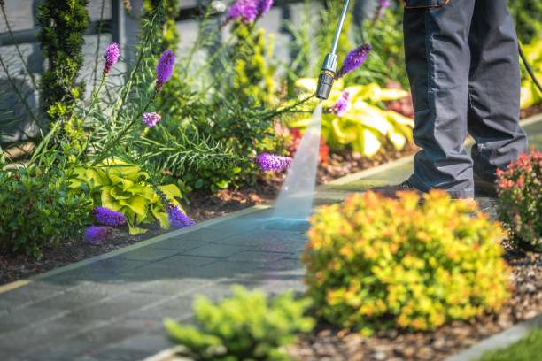 Professional Pressure Washing Services in Newton, NJ